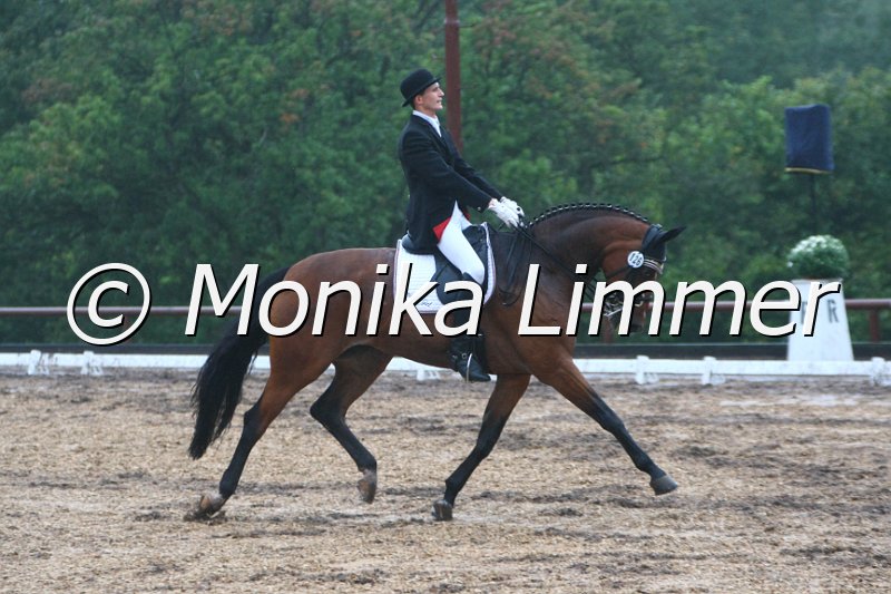 109M3039_Romantik Girl_Dressur_M_e.JPG